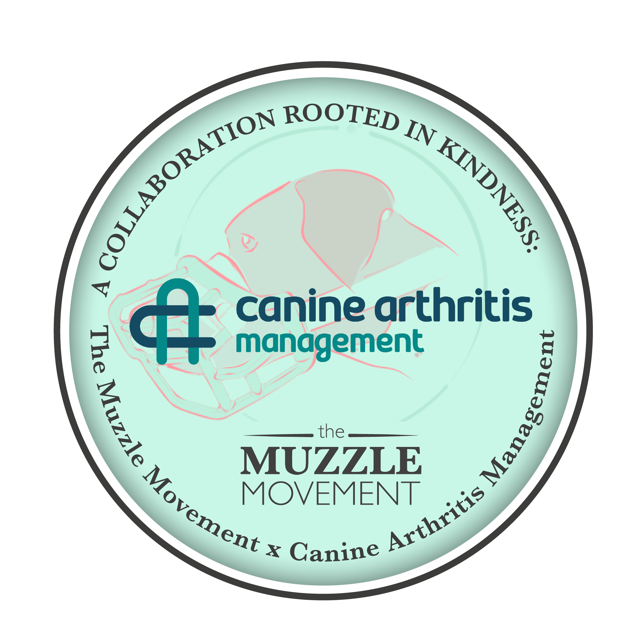 A Collaboration Rooted in Kindness: The Muzzle Movement x Canine Arthritis Management