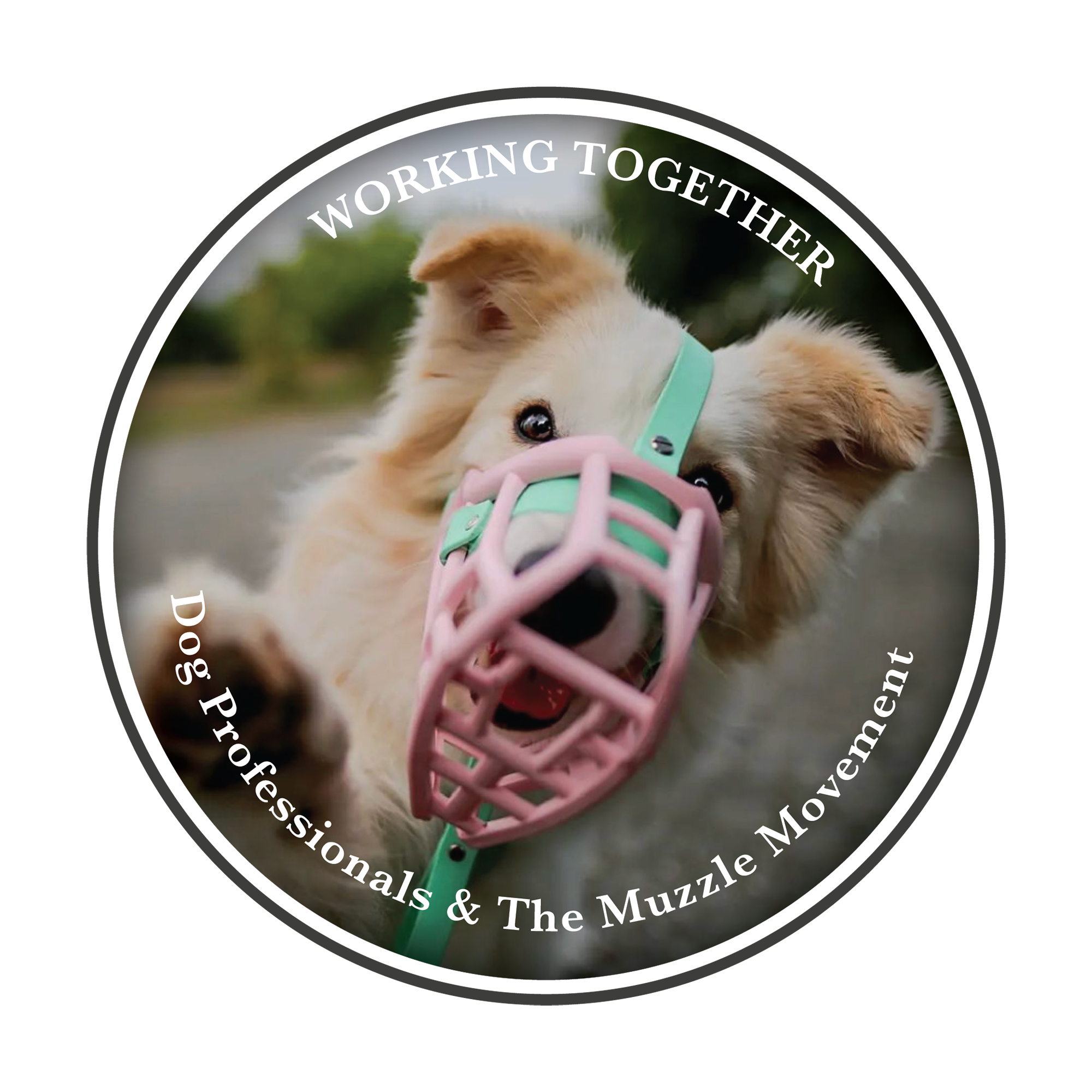 Working Together – Dog Professionals and The Muzzle Movement