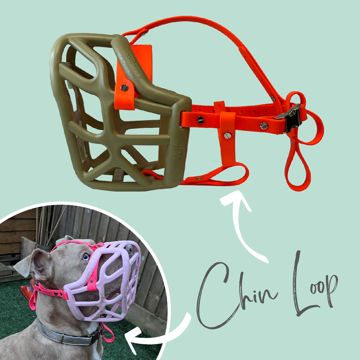 Chin Loop The Muzzle Movement