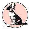 Muzzle Training Troubleshooting