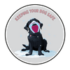 Keeping your dog safe at Christmas