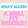 All you need to know about what makes a well fit muzzle!