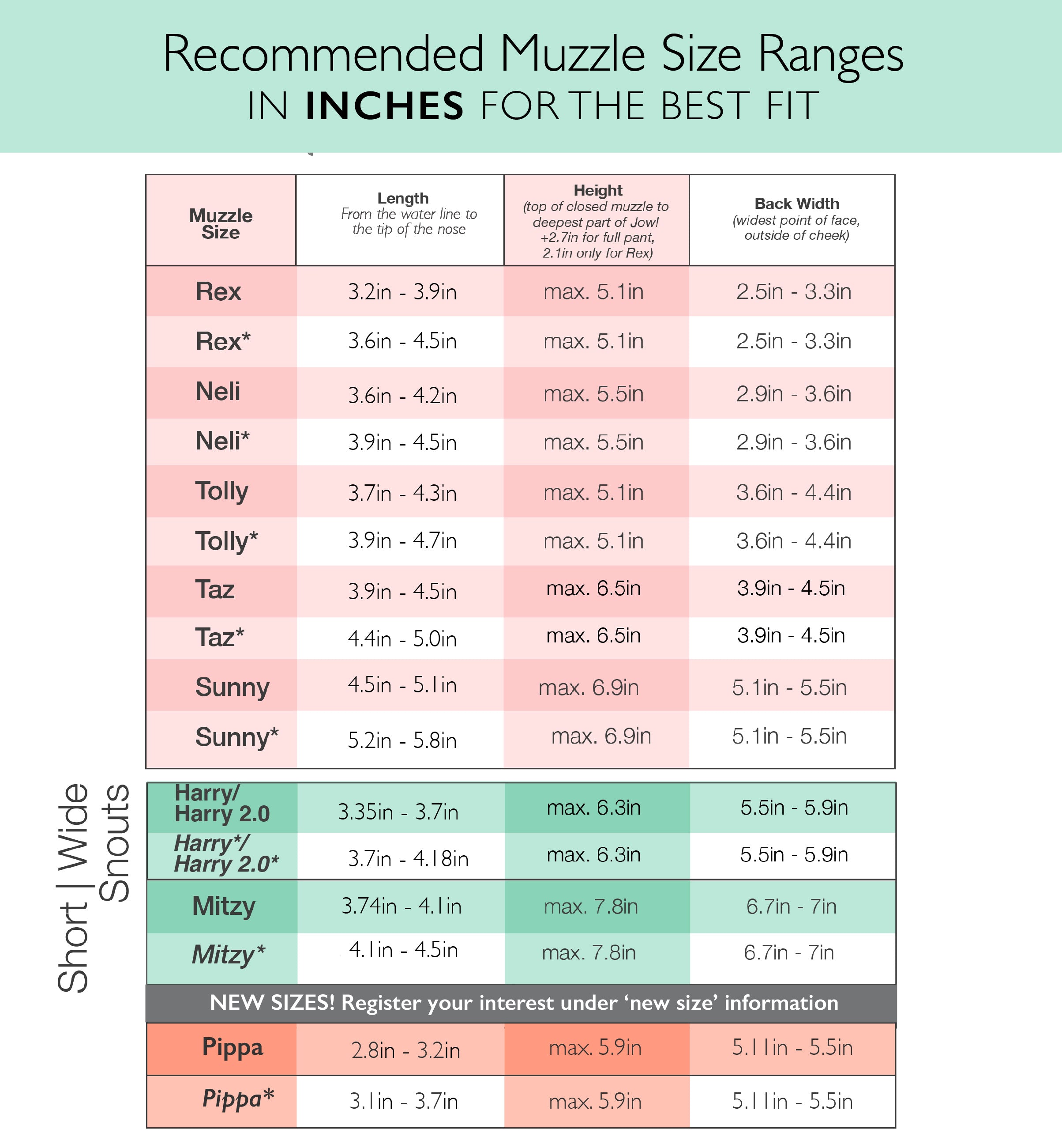 Muzzle Size Chart in Inches