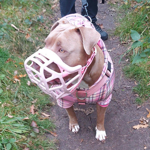 The Muzzle Movement Size Mitzy Dog Muzzle for Trade