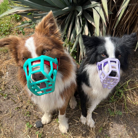 The Muzzle Movement Size Tolly for Trade