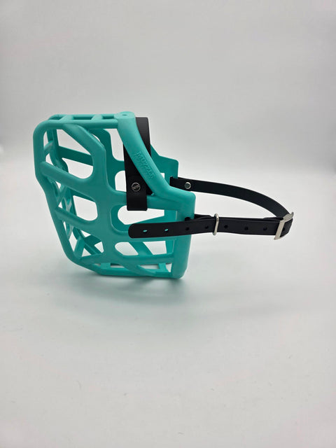 Size Taz Dog Muzzle- ready to ship