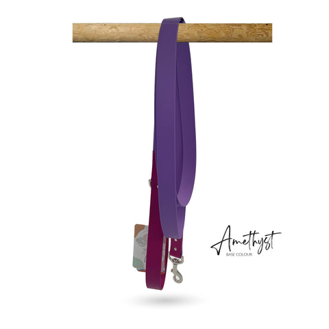 Lilac Muzzle, Collar & Lead Set