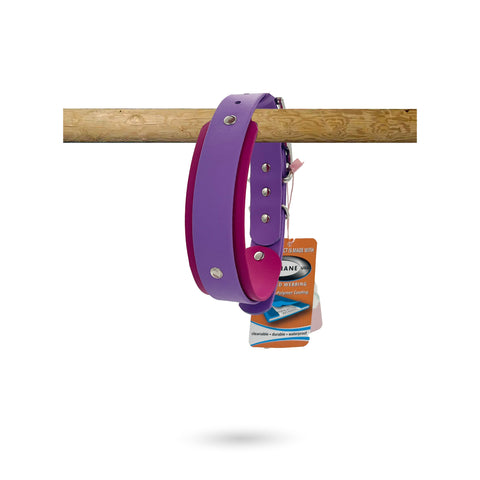 Lilac Muzzle, Collar & Lead Set