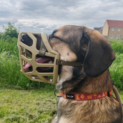 The Muzzle Movement Size Taz Dog Muzzle for Trade