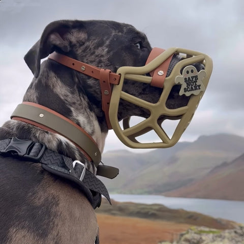 Snooties™ – Muzzle Charm