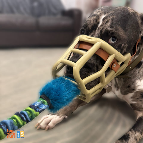 Tug-E-Nuff | Bright Fauxtastic Dog Tug Toy