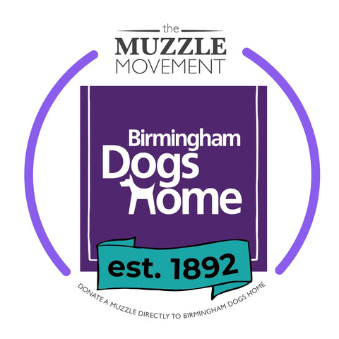 Charity Colour Muzzle – Birmingham Dogs Home - Ready to Ship