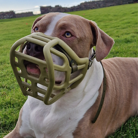 Size Harry original - Made to order muzzle with colour customisation