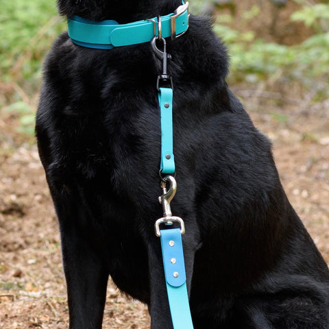 Collar Attachment