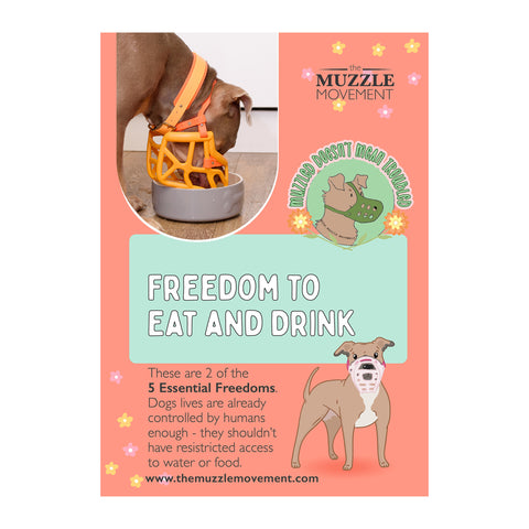 The Muzzle Movement - Bundle of downloadable posters for Trade