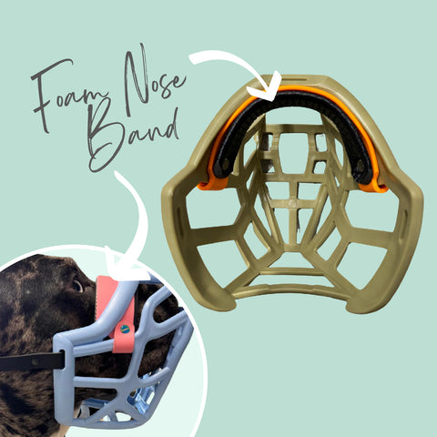 Foam padded noseband upgrade