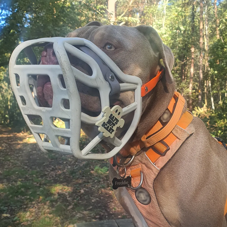 Snootie™ – Safe Not Scary Ghost Muzzle Charm