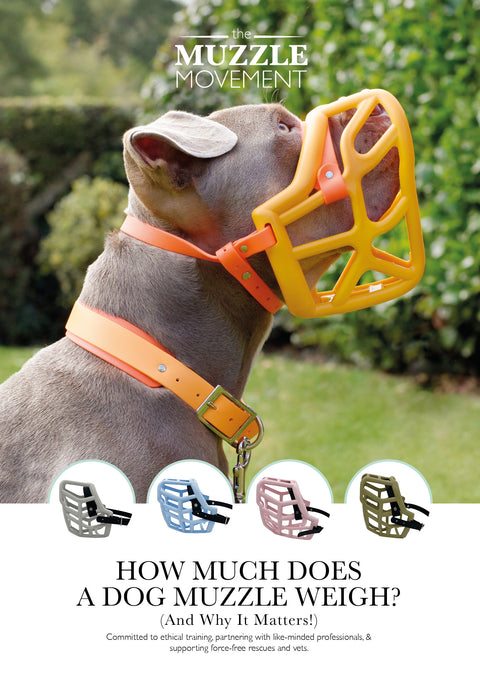 The Muzzle Movement - How much does a Muzzle Movement muzzle Weigh A5 leaflet