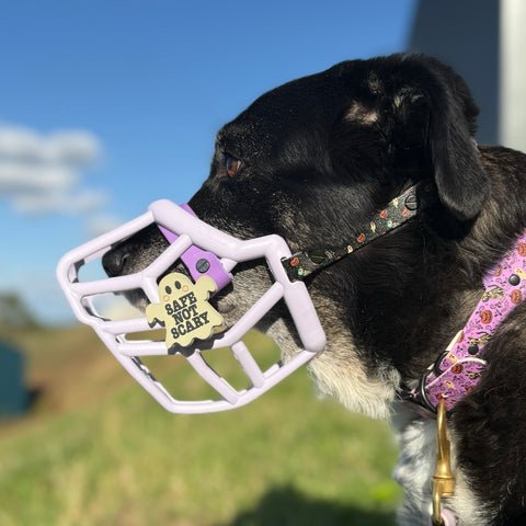 Snooties™ – Muzzle Charm