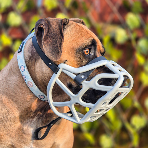 Size Harry 2.0 Pre Order - Made to order muzzle with colour customisation *NEW* updated version