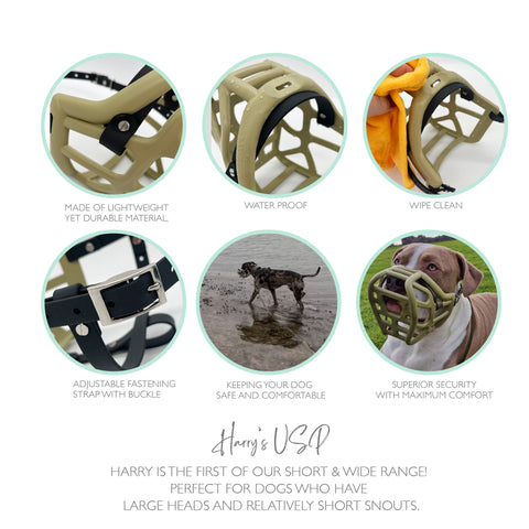 Size Harry original - Made to order muzzle with colour customisation