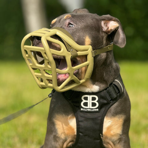 Size Harry original - Made to order muzzle with colour customisation