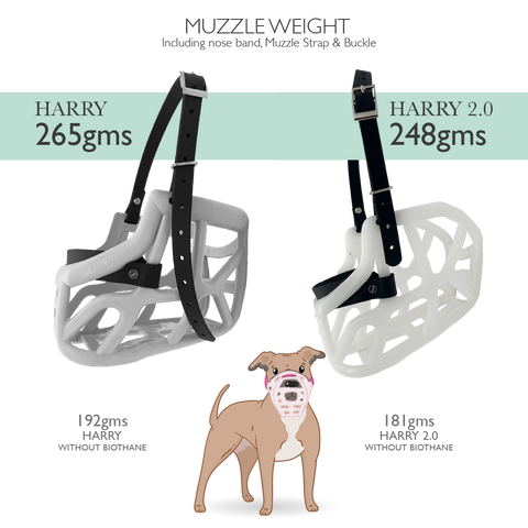 Size Harry 2.0 Pre Order - Made to order muzzle with colour customisation *NEW* updated version