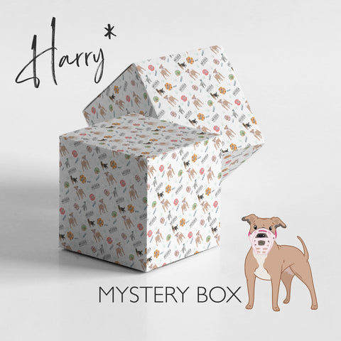 Mystery Dog Muzzle - Shipped in 1 working day