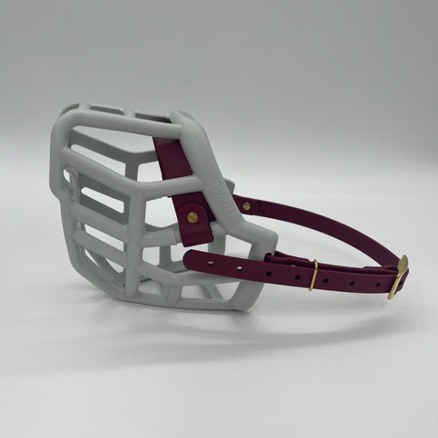 Size Tolly Dog Muzzle - ready to ship