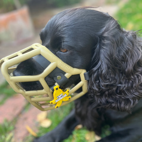 Snooties™ – Muzzle Charm