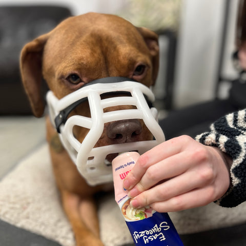 Size Harry 2.0 Pre Order - Made to order muzzle with colour customisation *NEW* updated version