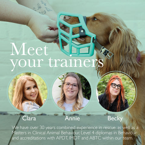 The Complete Dog Muzzle Training Course - Ultimate Muzzle