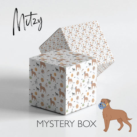 Mystery Dog Muzzle - Shipped in 1 working day