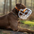 Size Harry 2.0 Pre Order - Made to order muzzle with colour customisation *NEW* updated version