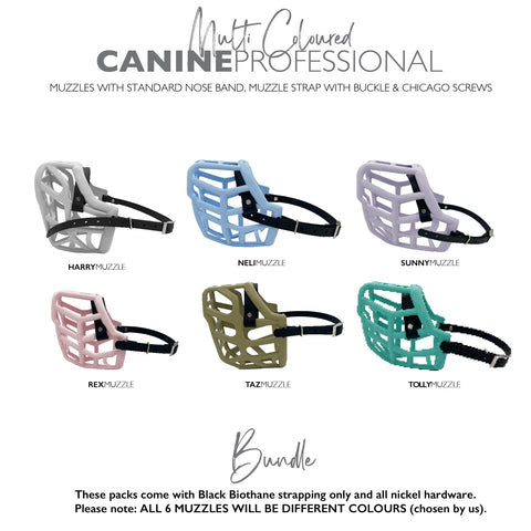 Canine Professional Size Bundle for Trade