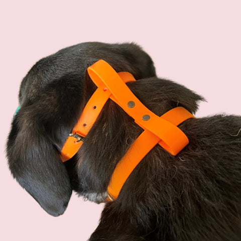 Muzzle Stop