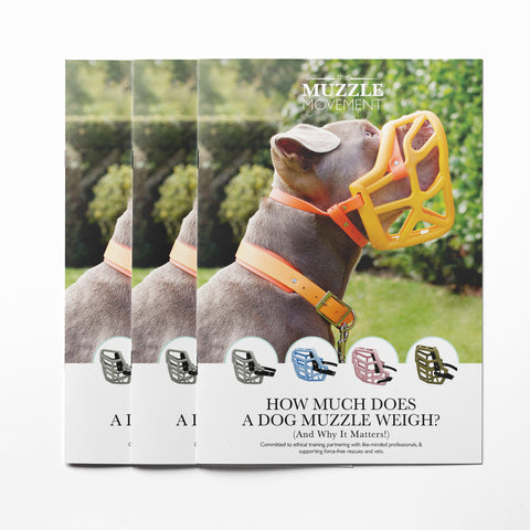 The Muzzle Movement - How much does a Muzzle Movement muzzle Weigh A5 leaflet
