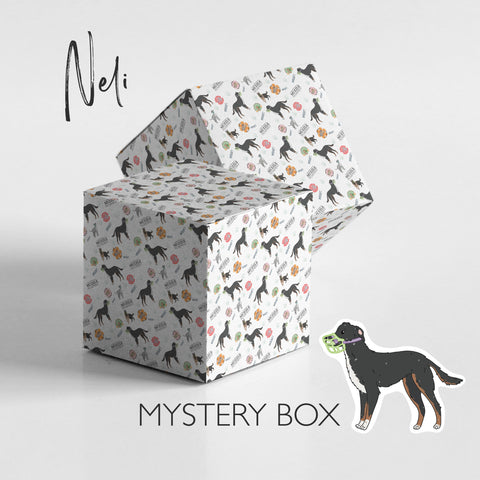 Mystery Dog Muzzle - Shipped in 1 working day