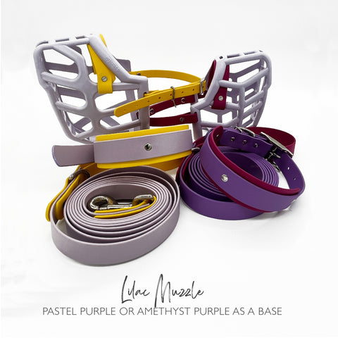 Lilac Muzzle, Collar & Lead Set