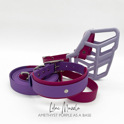 Lilac Muzzle, Collar & Lead Set