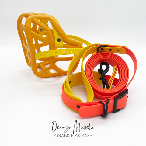Orange Muzzle, Collar & Lead Set