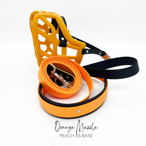 Orange Muzzle, Collar & Lead Set