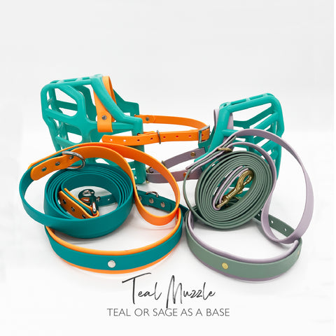Teal Muzzle, Collar & Lead Set