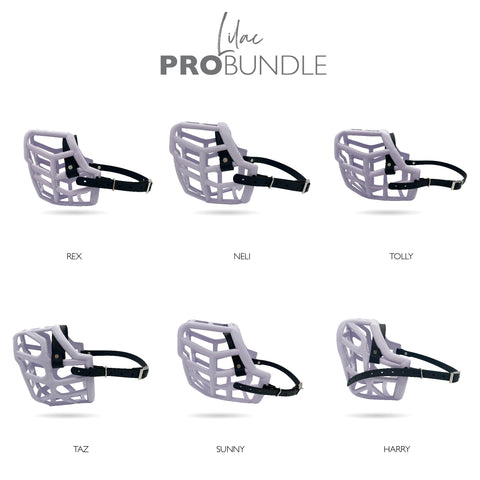 Canine Professional Size Bundle