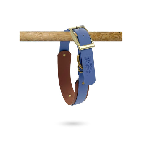 Baby blue Muzzle, Collar & Lead Set