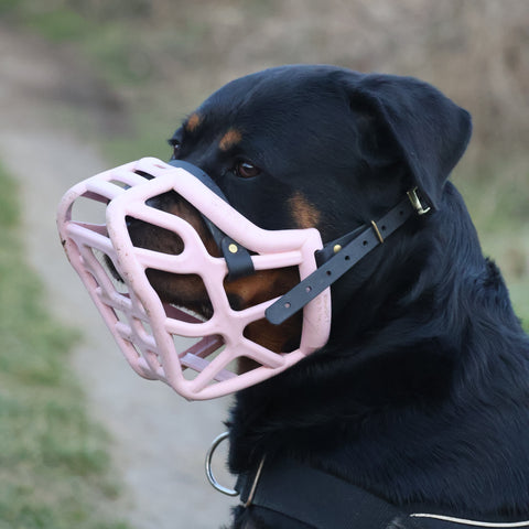Size Harry original - Made to order muzzle with colour customisation