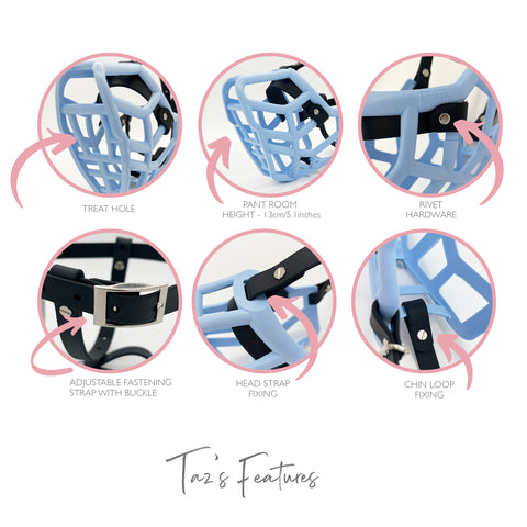Size Rex - Made to order muzzle with colour customisation