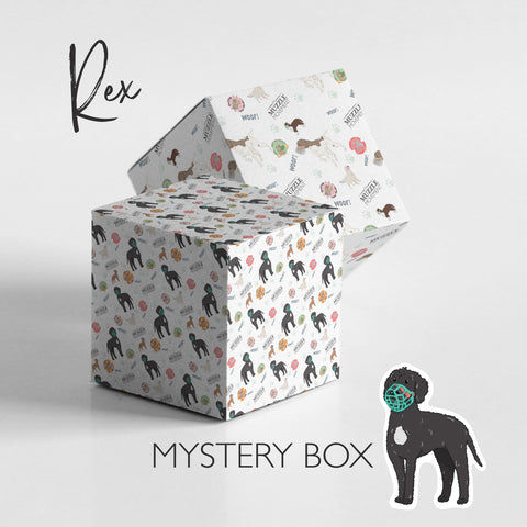 Mystery Dog Muzzle - Shipped in 1 working day