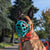Size Taz Dog Muzzle - Made to order muzzle with colour customisation