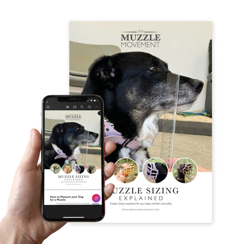 The Muzzle Movement - Muzzle sizing explained for Trade A5 leaflet